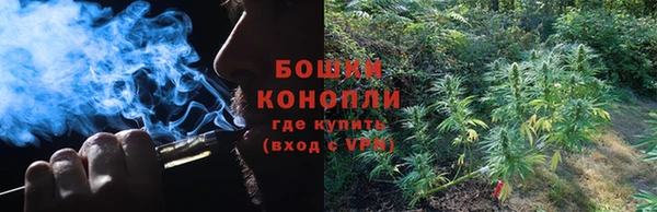 спайс Алексин