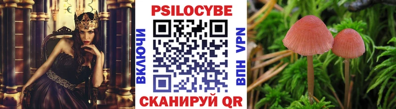 сколько стоит  darknet официальный сайт  Псилоцибиновые грибы Cubensis  Покачи 